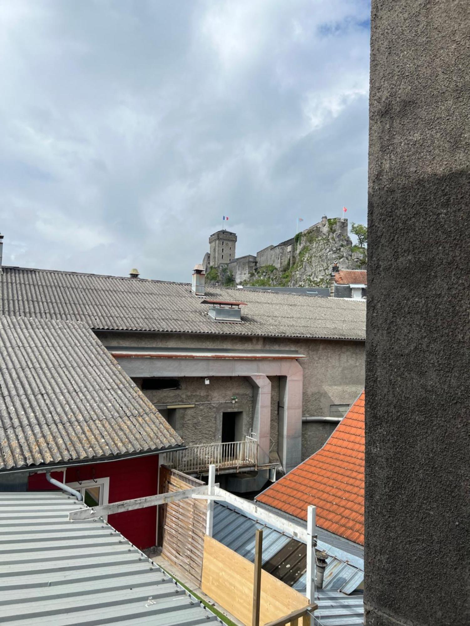 Residence Sainte Therese - La Villa Selva Lourdes Esterno foto